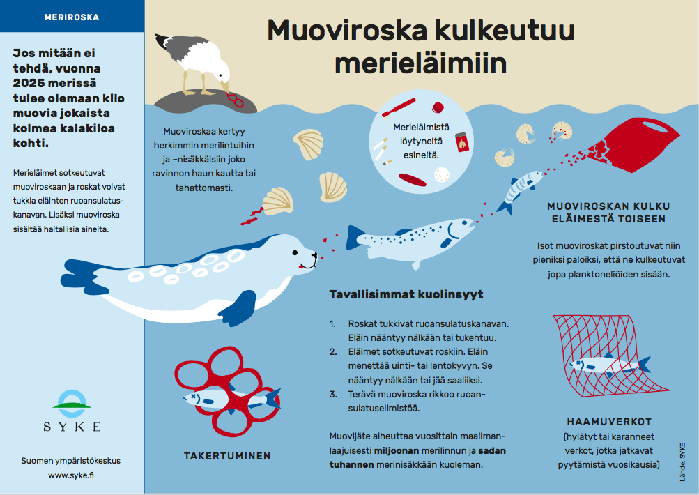 muoviroska-kulkeutuu-meriin