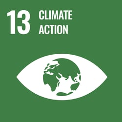 UN goal 11: Climate action